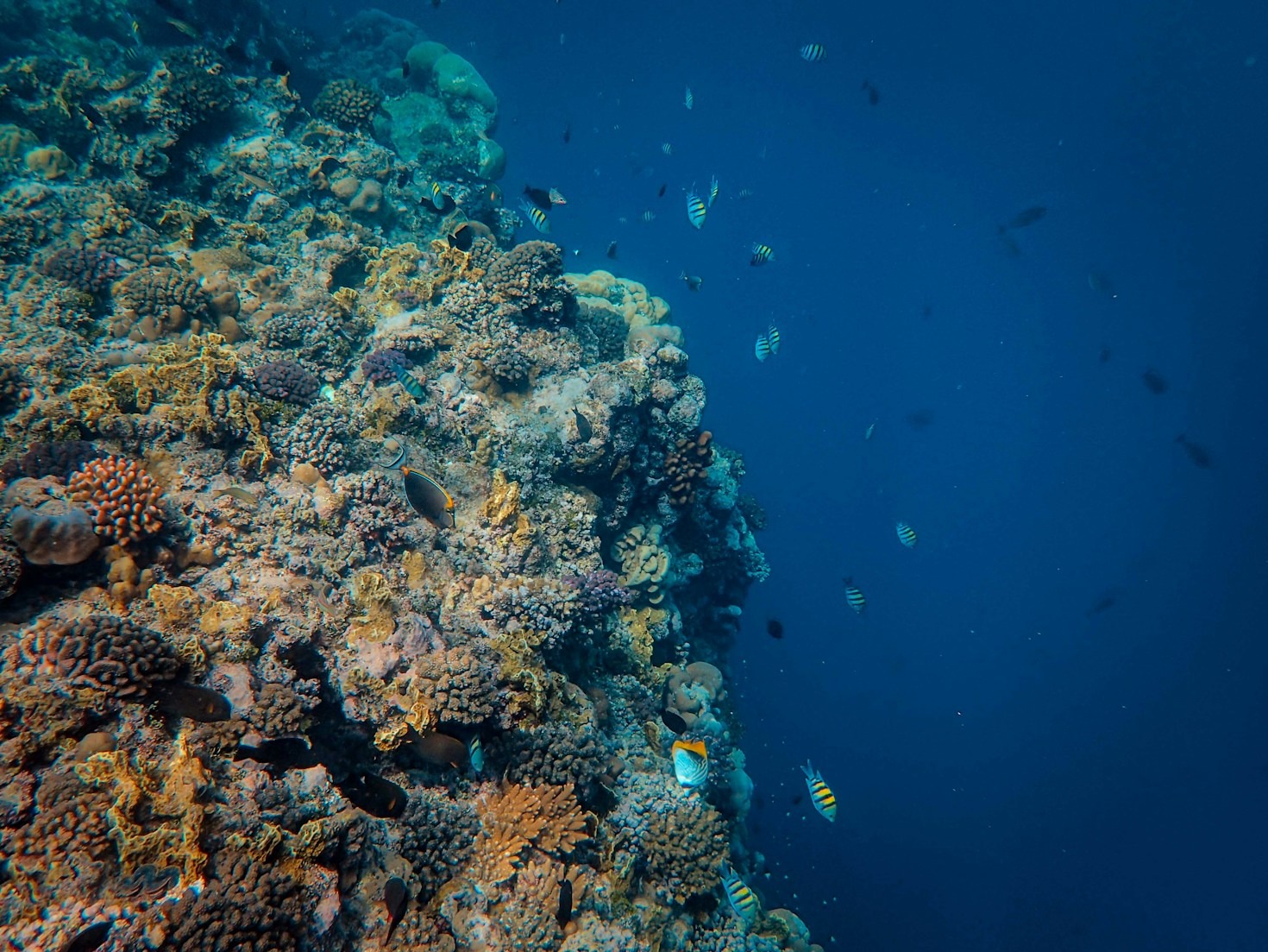 How to Plan Your Ultimate Nile River Cruise